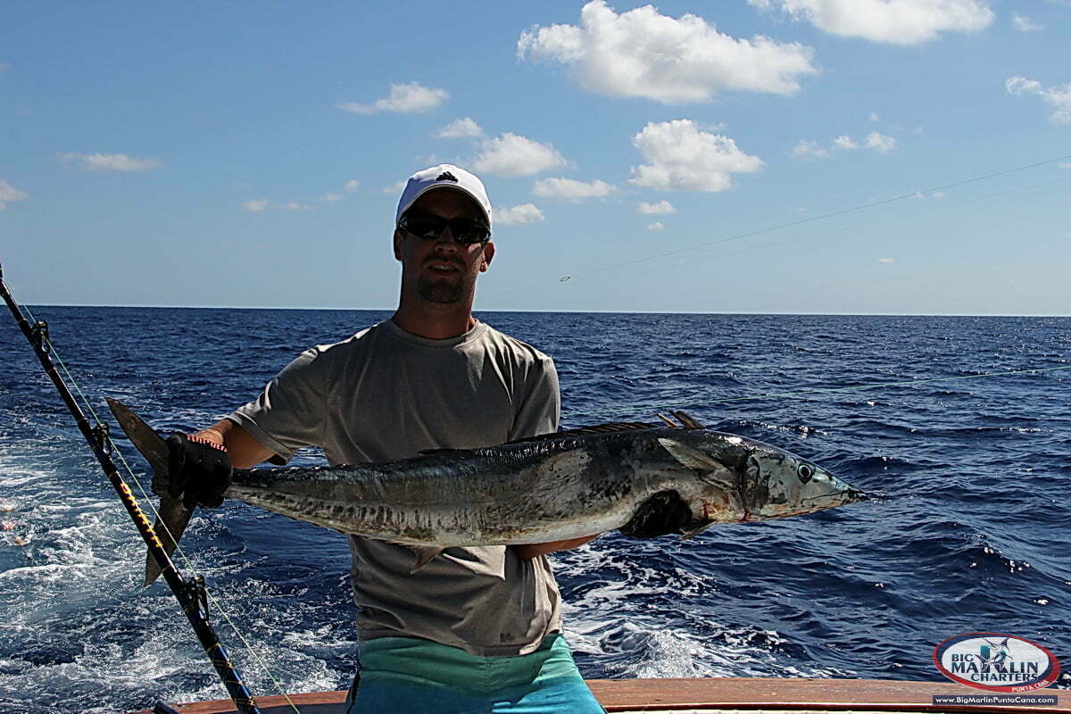 pelagic fish Wahoo catching and fishing charter in Punta Cana
