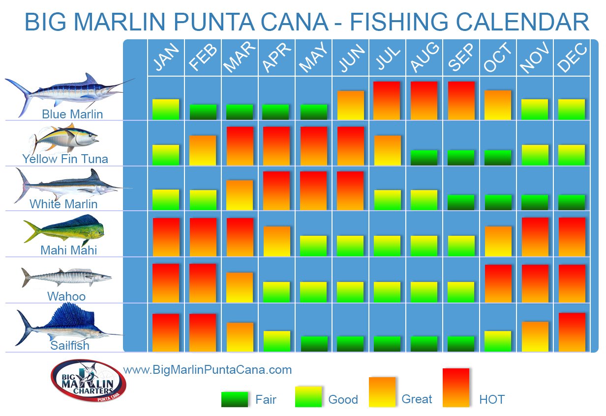 Fishing Calendar Dominican Republic - Deep sea fishing charters in