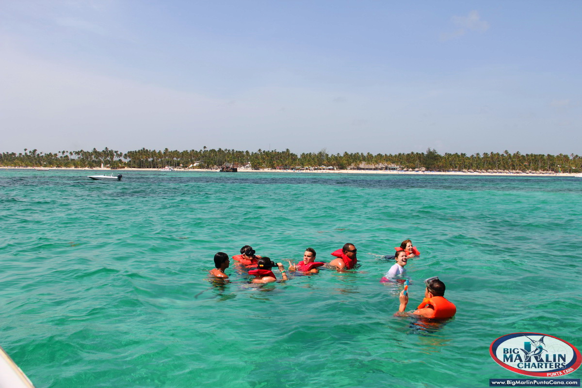 Reef snorkeling excursion