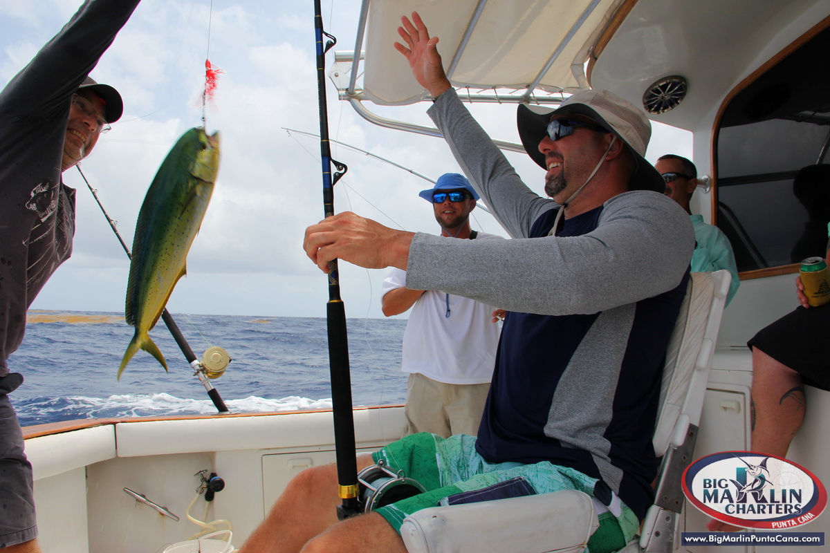 Mahi Mahi Fishing on boat