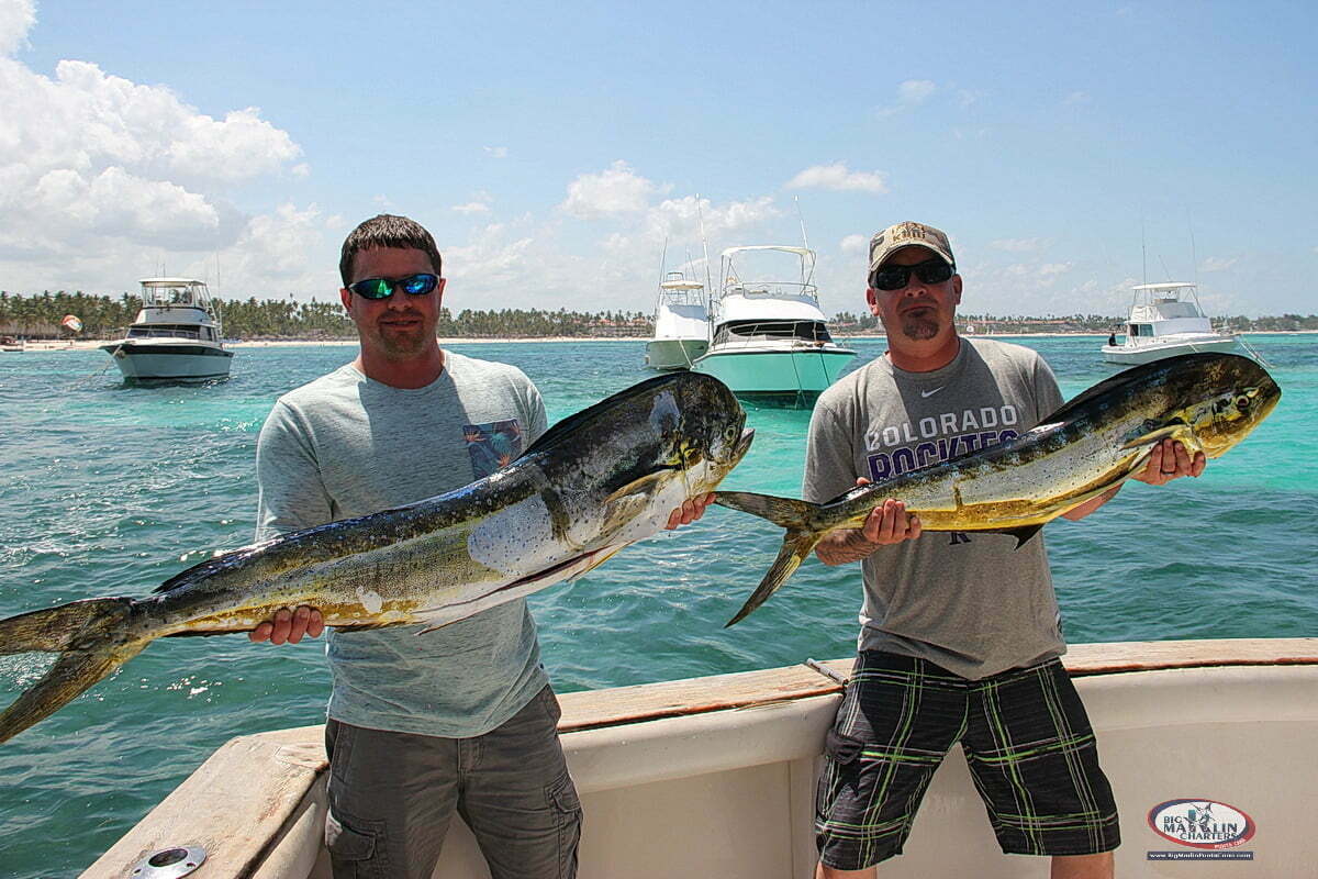 Big fishing Punta Cana