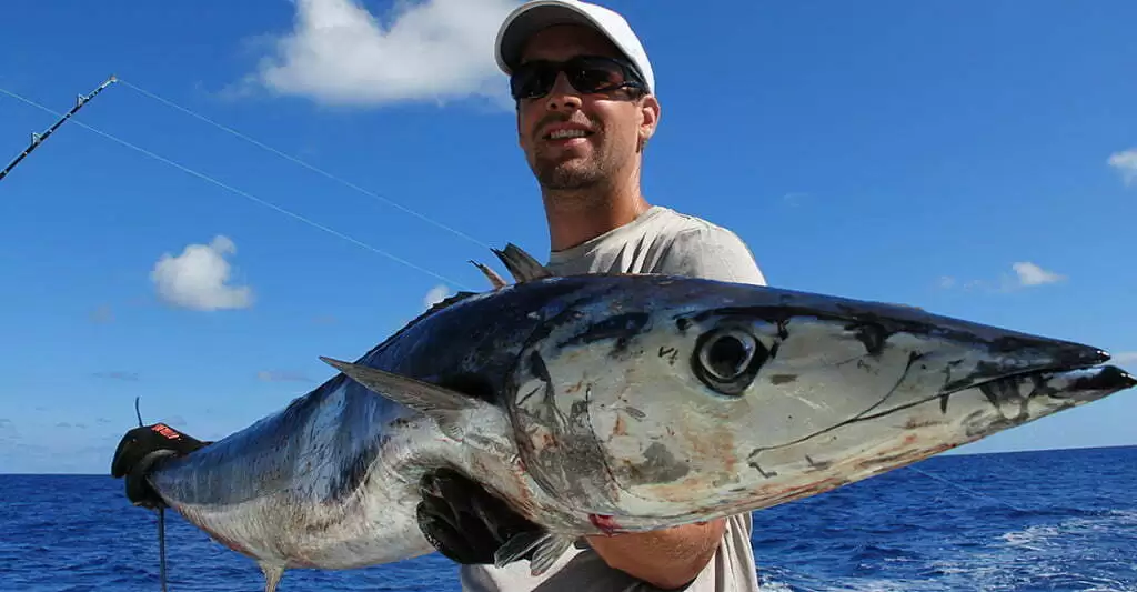 Deep sea fishing charter Dominican Republic