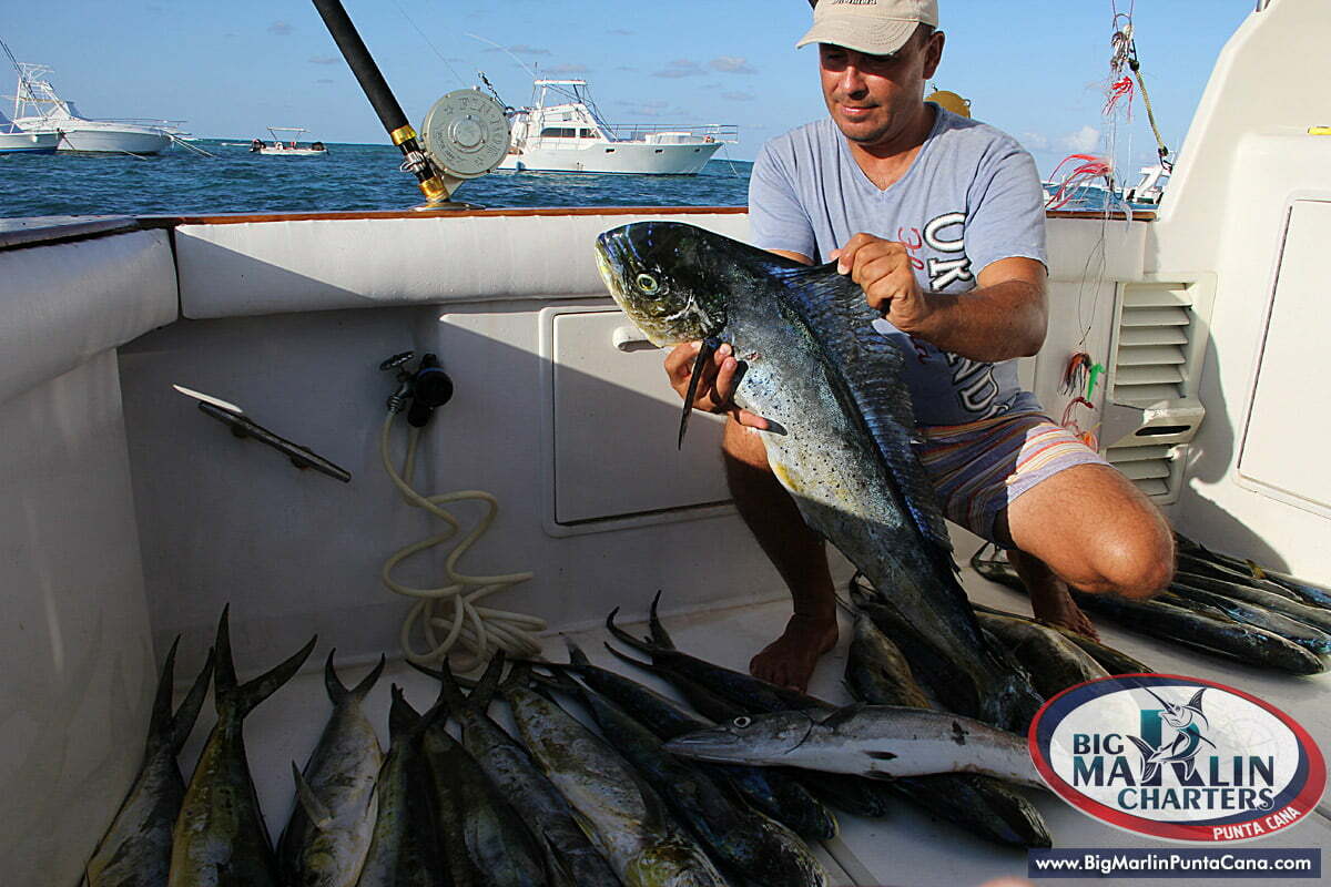 Bavaro boat fishing