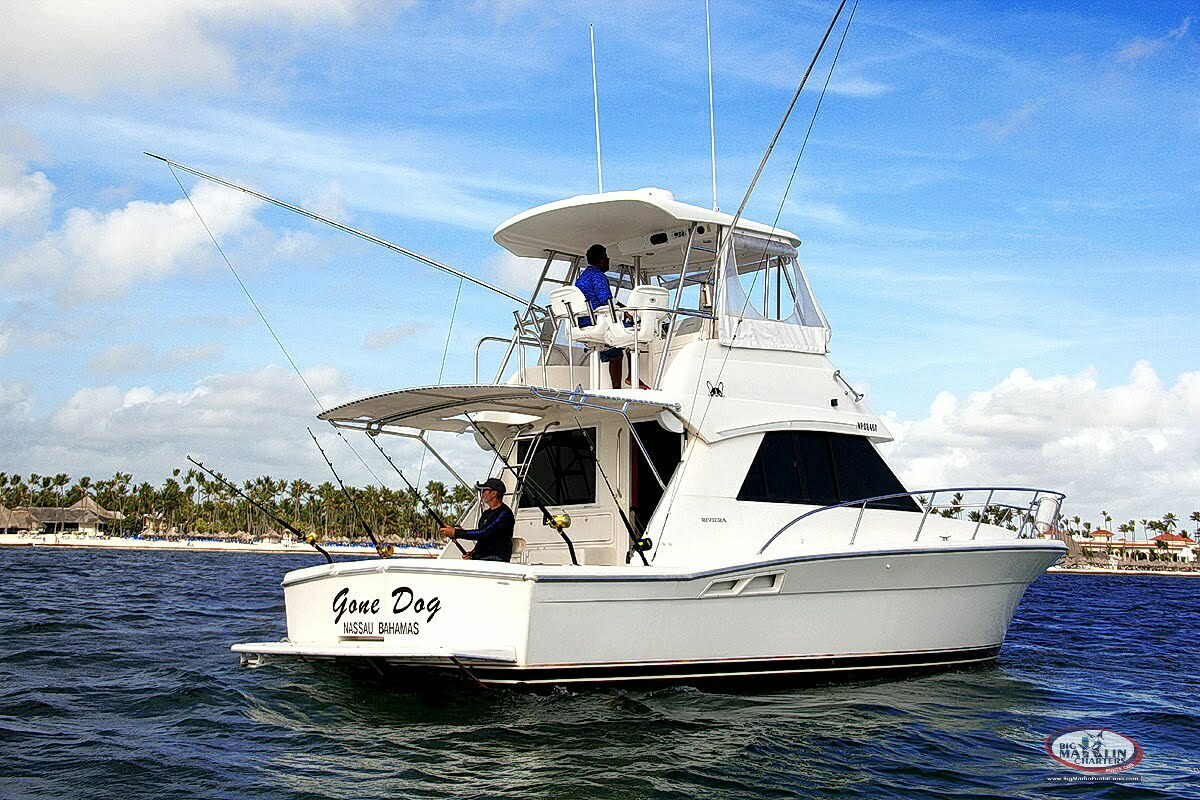 Gone Dog fishing boat Punta Cana deep sea fishing Atlantic Blue Marlin, White Marlin, Mahi Mahi 