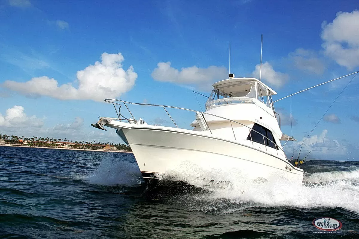 Gone Dog boat charter for deep sea fishing in Punta Cana