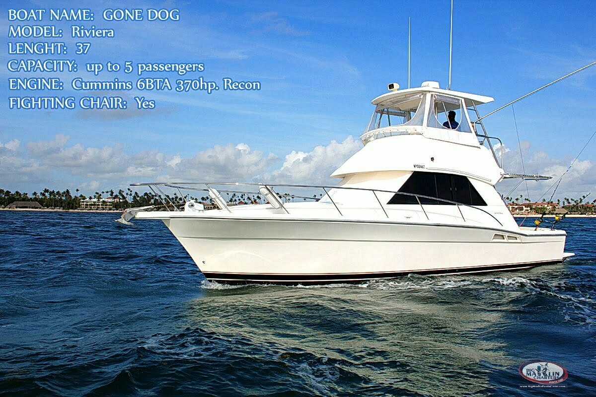 Gone Dog fishing boat Riviera Yacht for Deep Sea fishing Dominican Republic and Bavaro Punta Cana