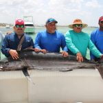 Blue marlin charter Fortun DECK fishing boat Bavaro Atlantic ocean