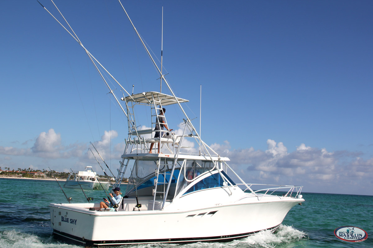 New Fishing boats in Punta Cana Luhrs 36 feet open model Blue Sky