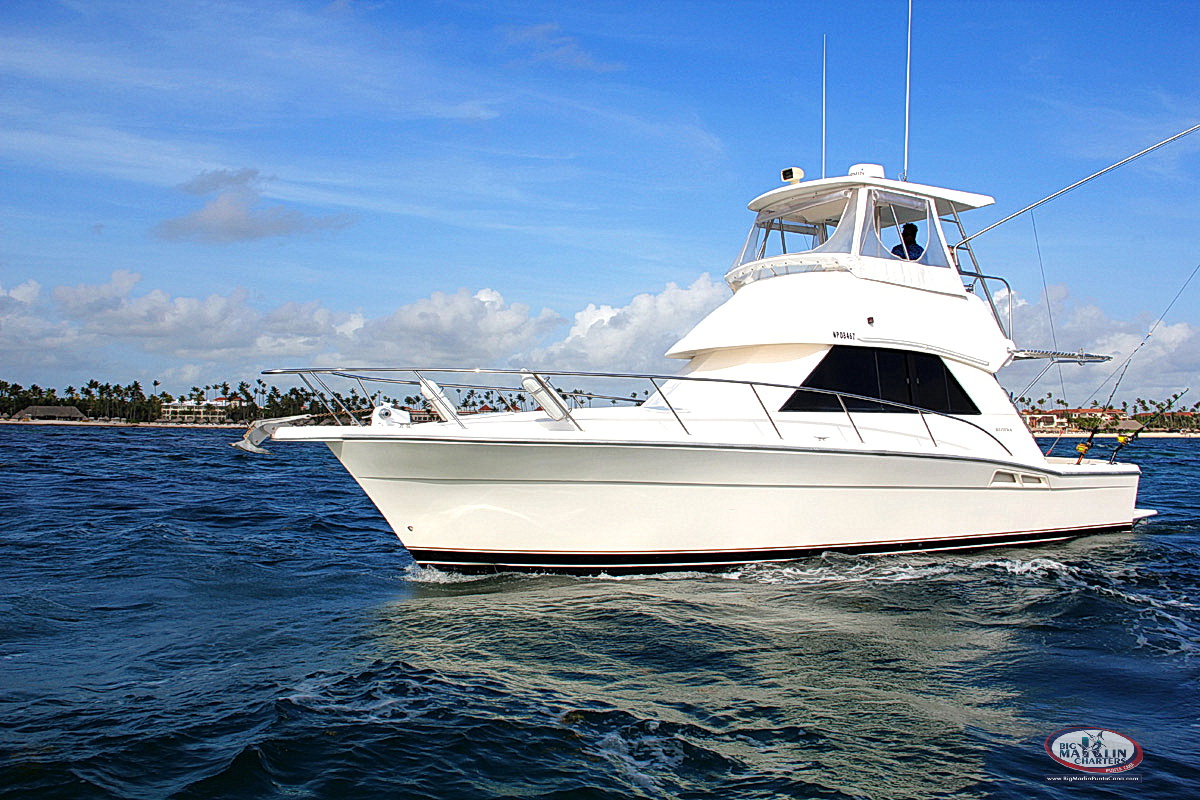 Great and comfy fishing boat Gone Dog in Punta Cana for deep sea fishing and party boat and reef snorkeling 