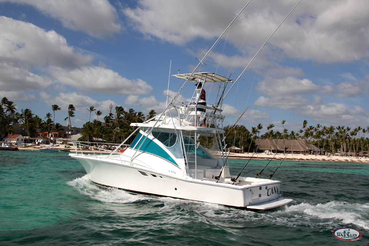 Sport fishing vessel  fishing boat Luhrs 32 for fishing charter