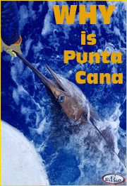 Punta Cana fishing charters Why is Punta cana?