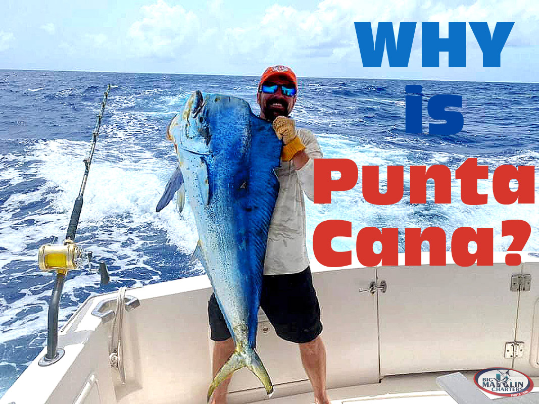 Why is Punta Cana?