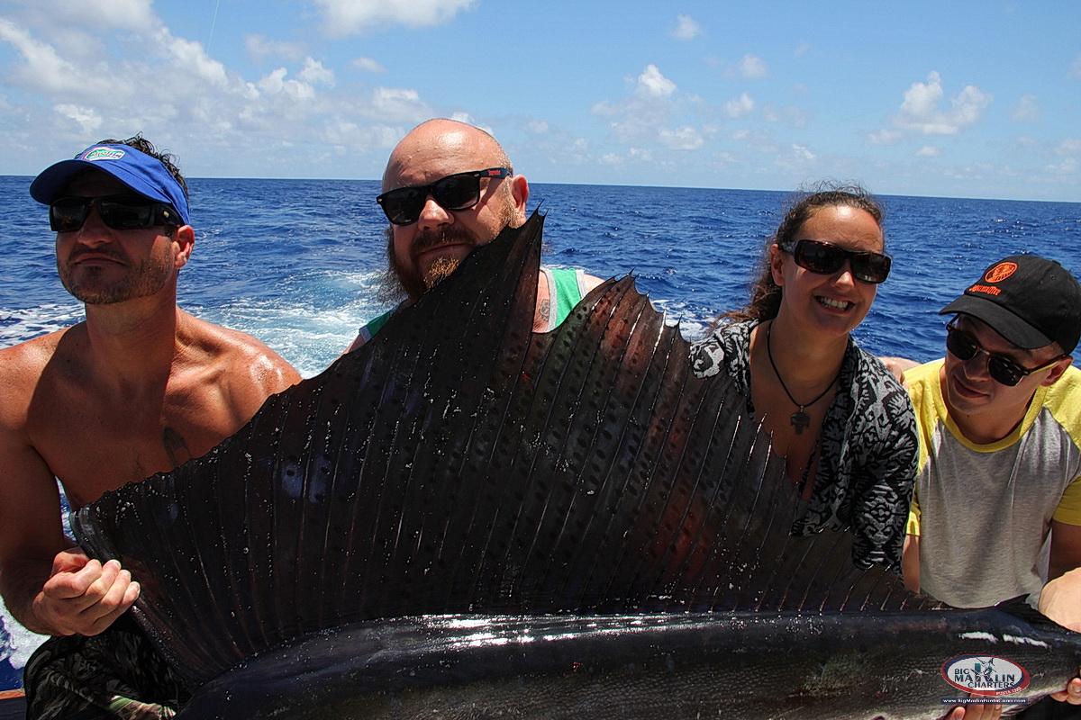 Sailfish catching in Punta Cana