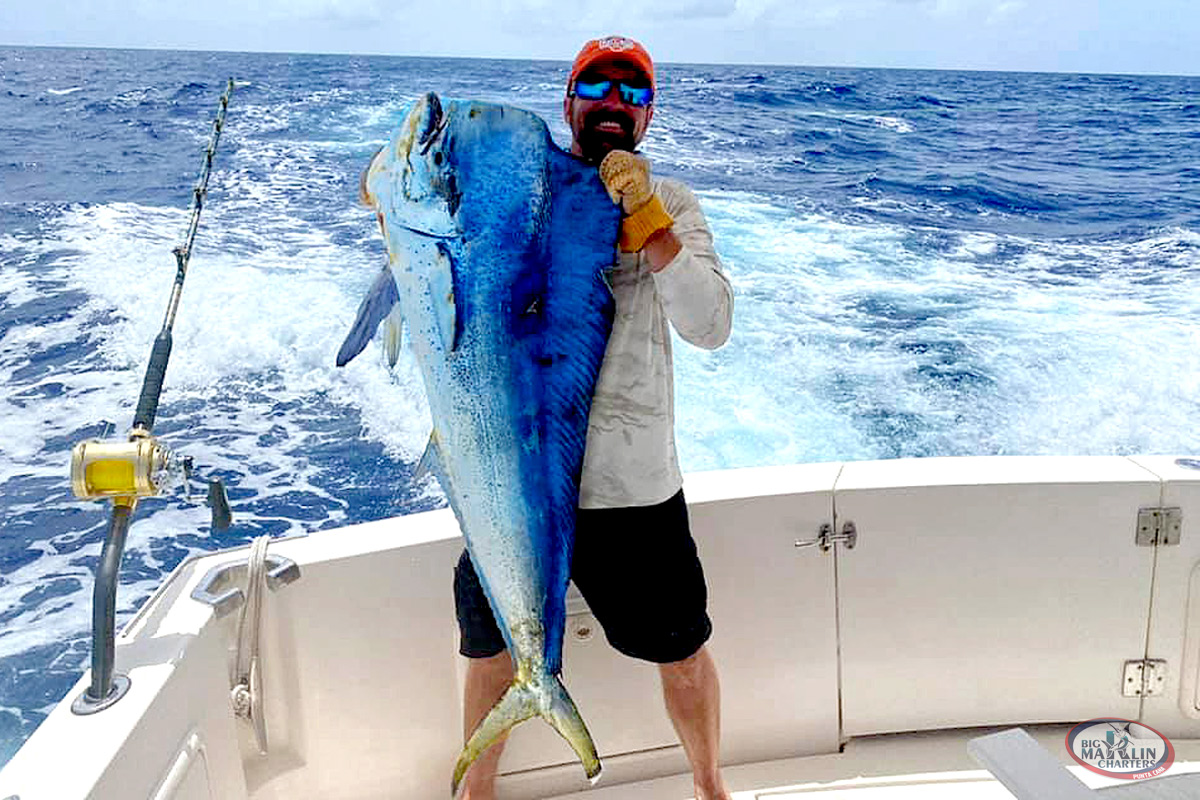 Huge Mahi Mahi Dorado in Punta Cana family fishing