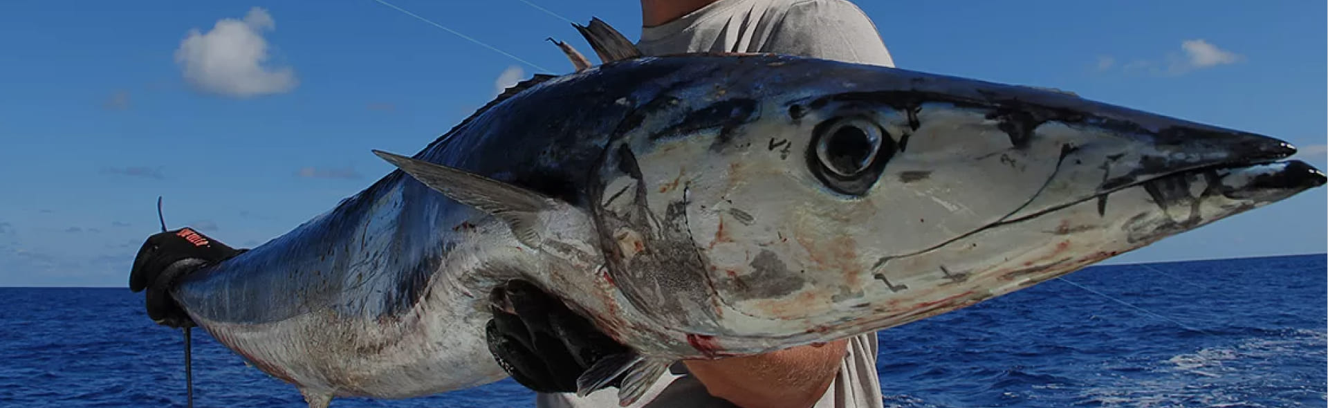 Fishing with Big Marlin Charters Punta Cana wahoo pelagic fish