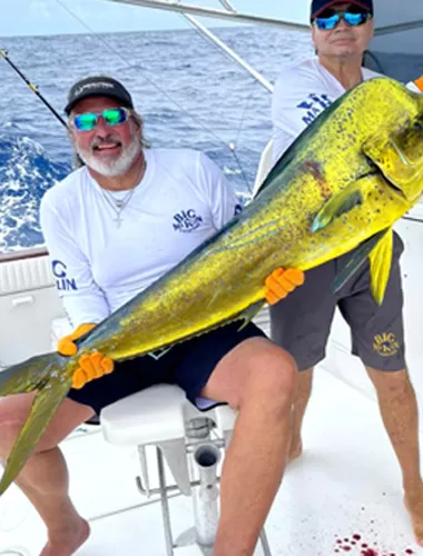 Dorado fishing