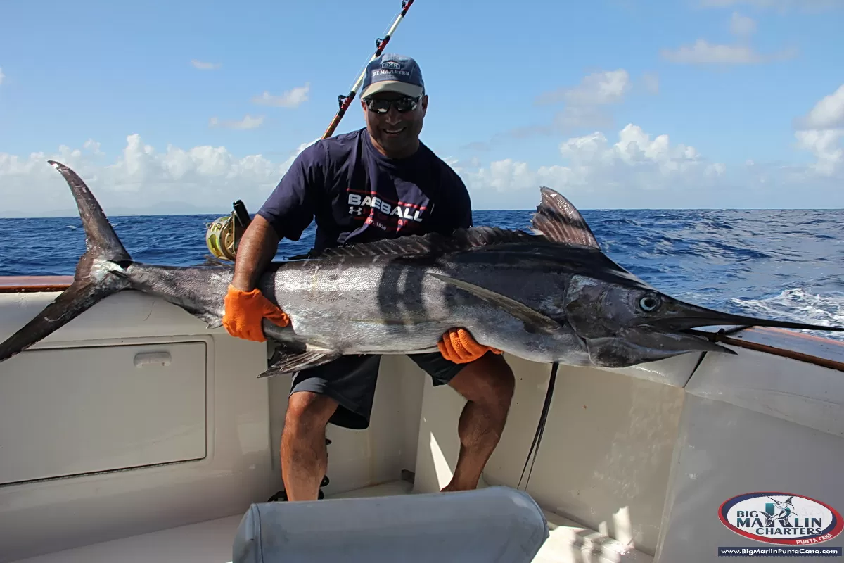 Blue Marlin and Fisherman Ali on board fishing boat Fortuna