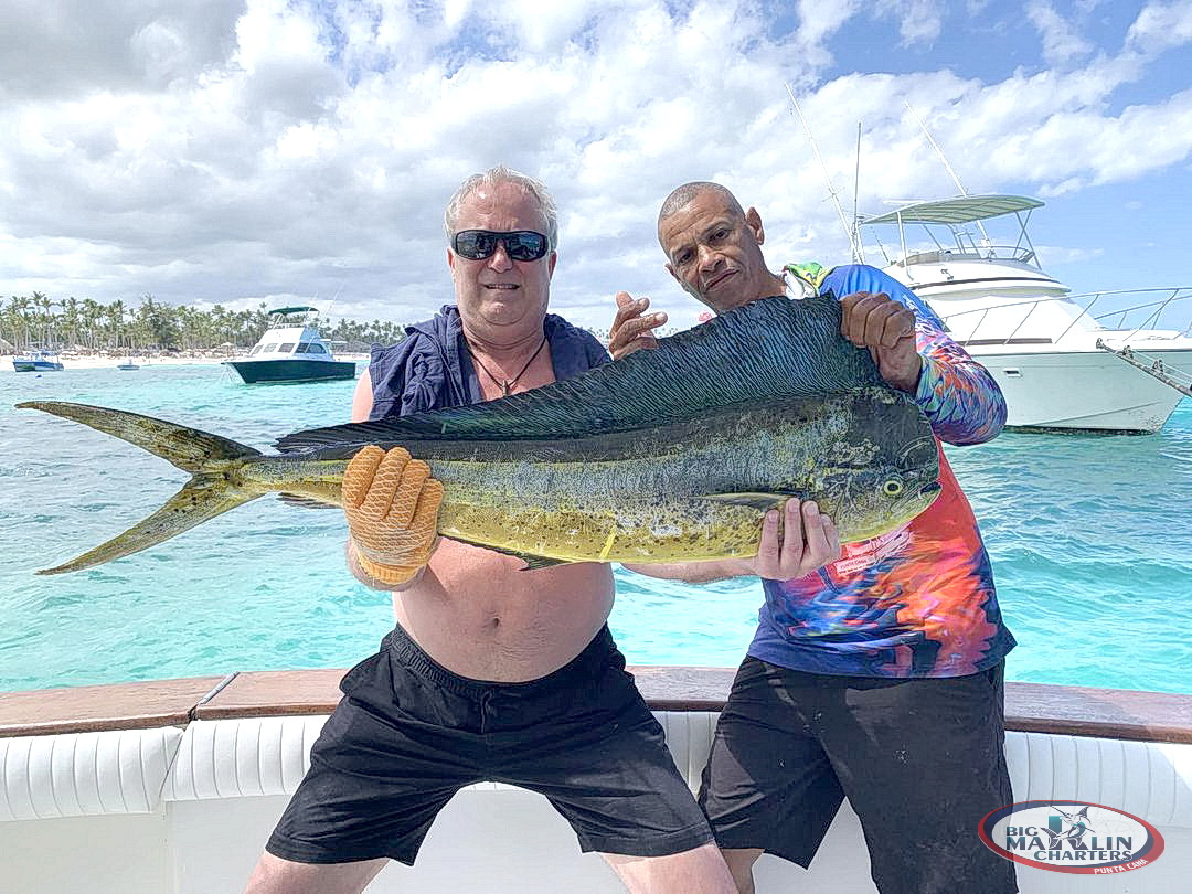 We caught a very big size trophy  dorado