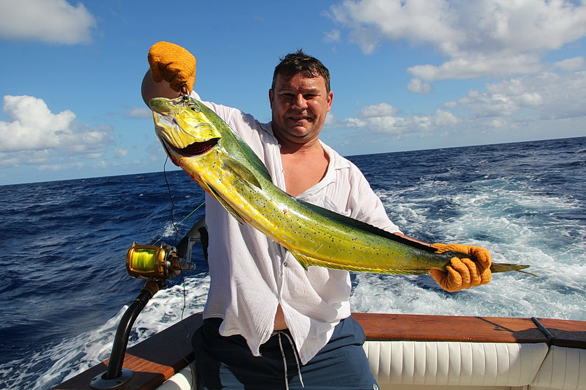 Dorado abordo Melia resort fishing