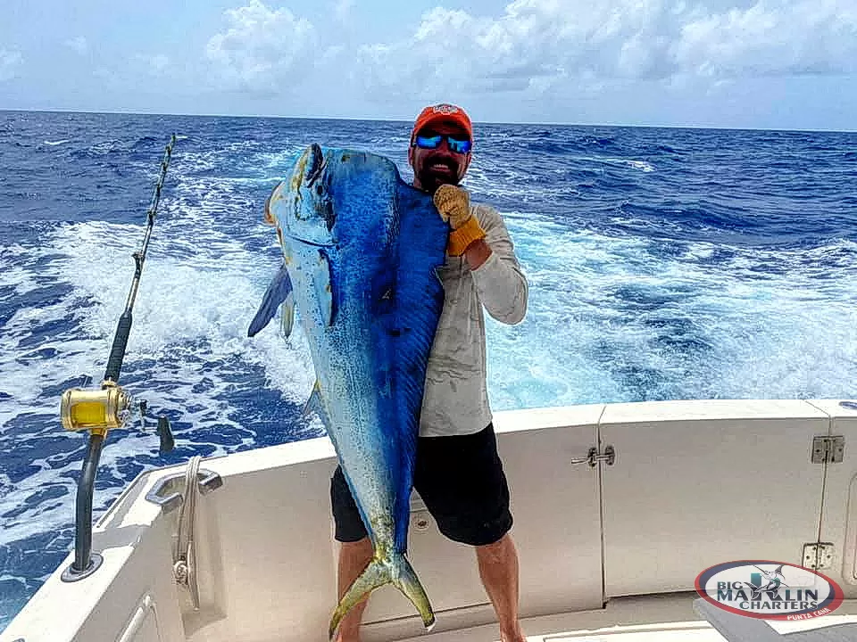 Huge dorado during trip fishing punta cana