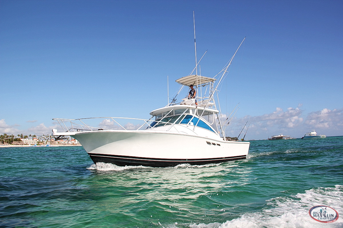 Fishing boat Blue Sky Luhrs 36