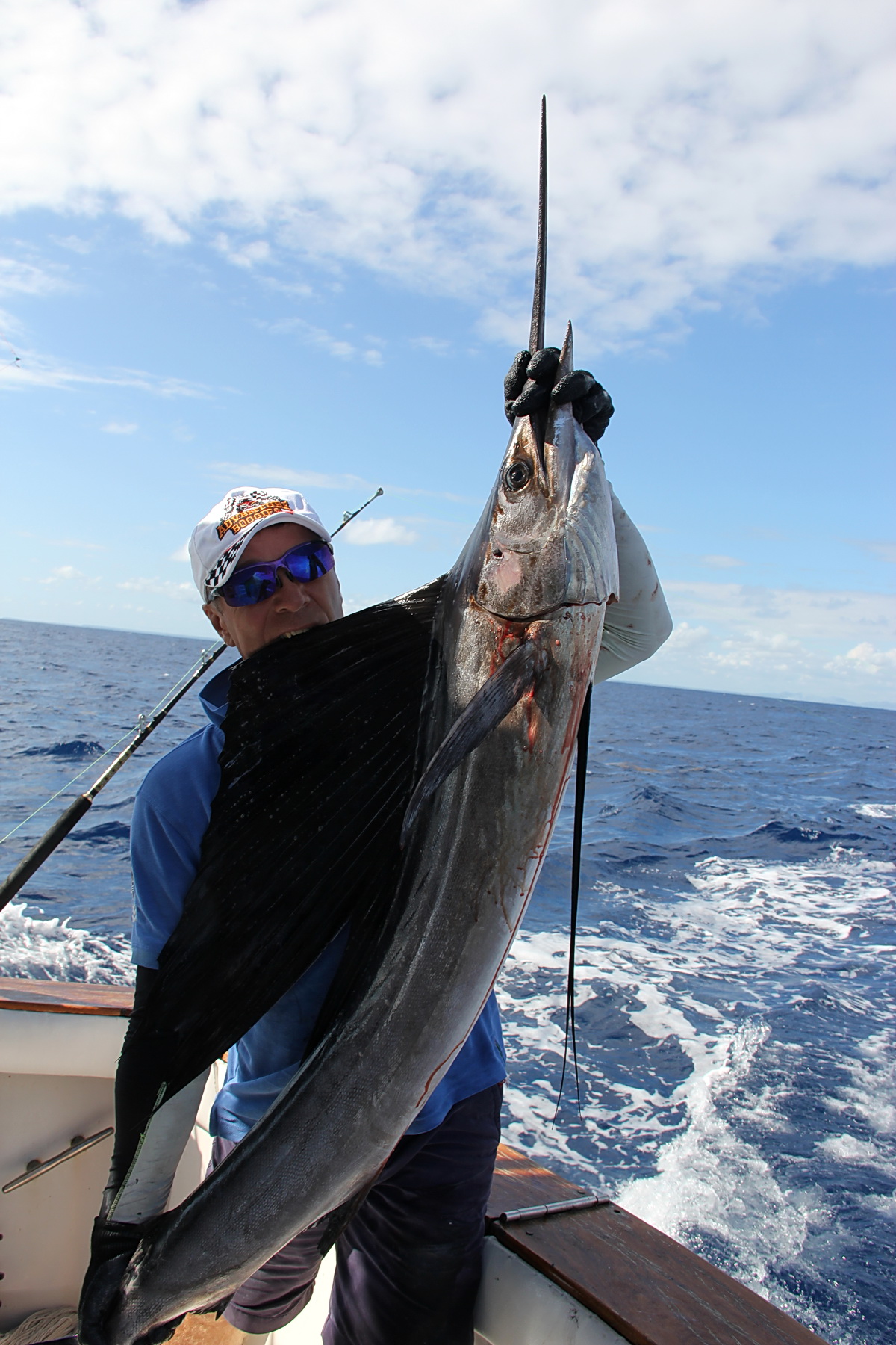 Sailfish catching pelagic fish