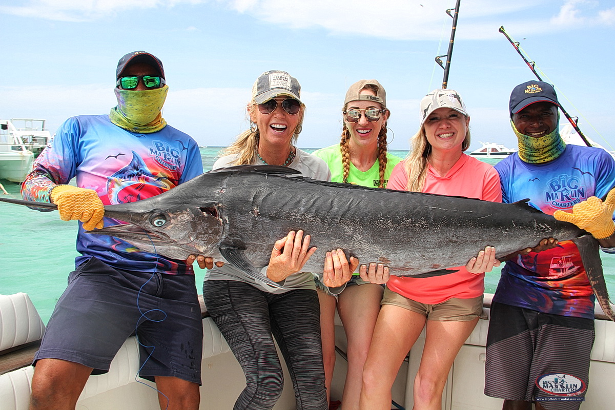 Marlin planning a fishing trip in Punta Cana