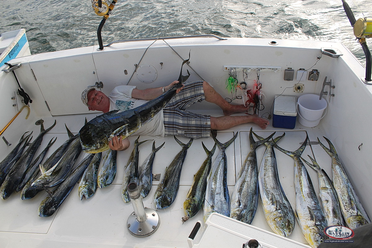 Punta Cana deep sea fishing charter a lot of fish