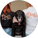 Andrei Fedorov profile picture